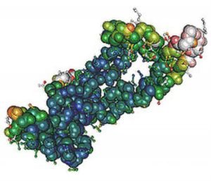recombinant Protein AG recombinant Protein AG