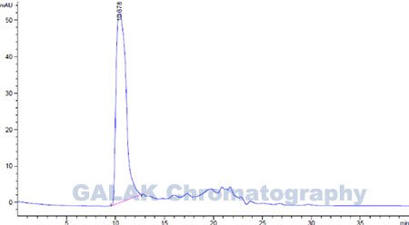 Chromatography-gram-for-the-elution-liquid-of-Inactivated-Pseudorabies-Virus Chromatography gram for the elution liquid of Inactivated Pseudorabies Virus