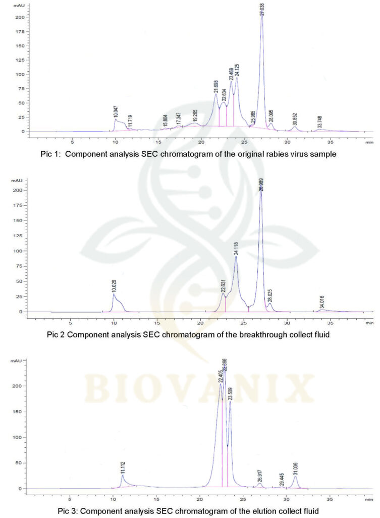 Inert-Shell-in-the-purification-of-rabies-virus-chromatography Inert-Shell-in-the-purification-of-rabies-virus-chromatography