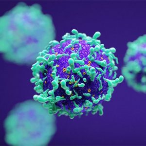 Pseudorabies PRV virus Pseudorabies PRV virus vaccine