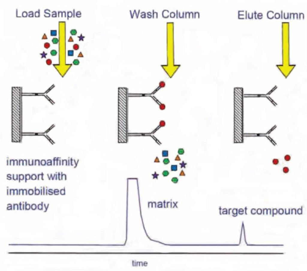 affinity chromatography phase principle affinity chromatography phase principle