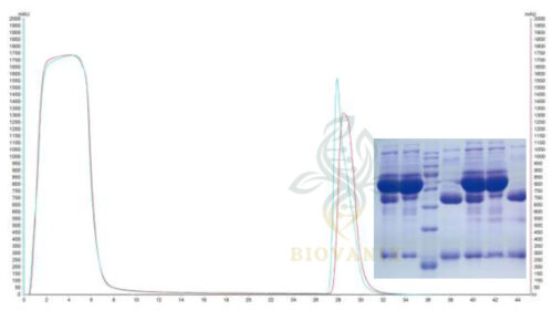 agarose-affinity-application1-768x411 agarose-affinity-application1-768x411