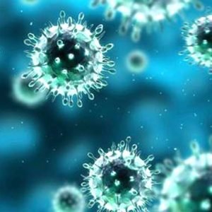 avian influenza virus avian influenza virus