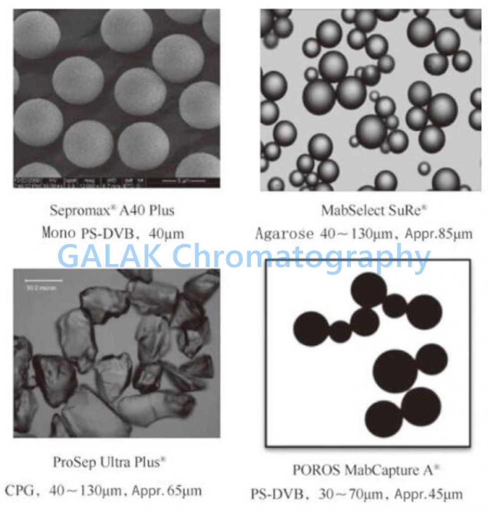 protein a affinity resin comparasion protein a affinity resin comparasion
