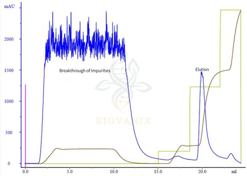 rabies-virus-purification rabies-virus-purification