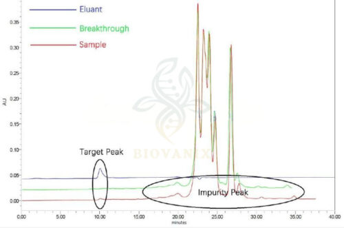 rabies-virus-purification1 rabies-virus-purification1