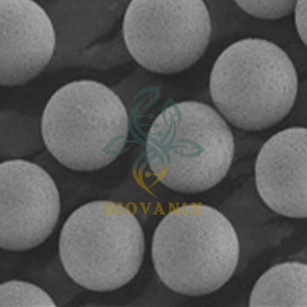 BIOVANIX chromatography media